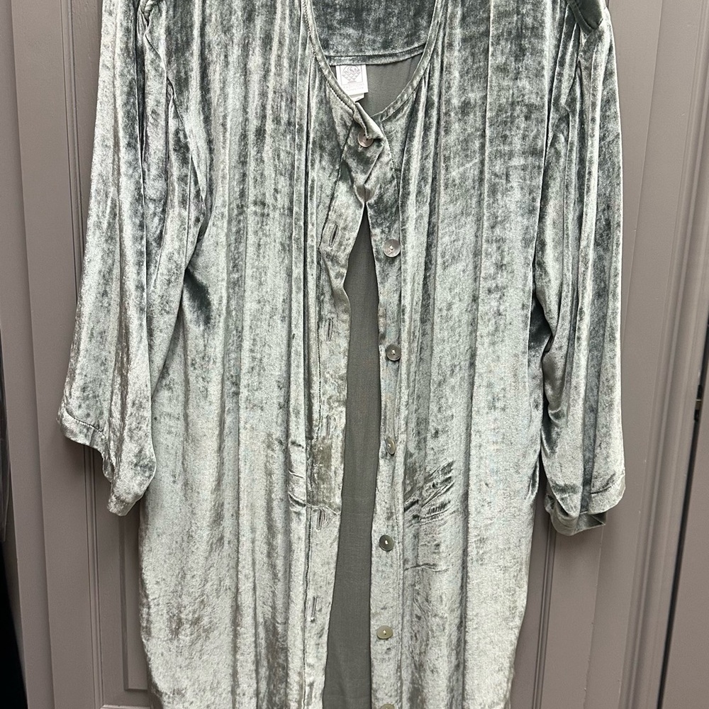 Elegant Velvet Tunic in Sage